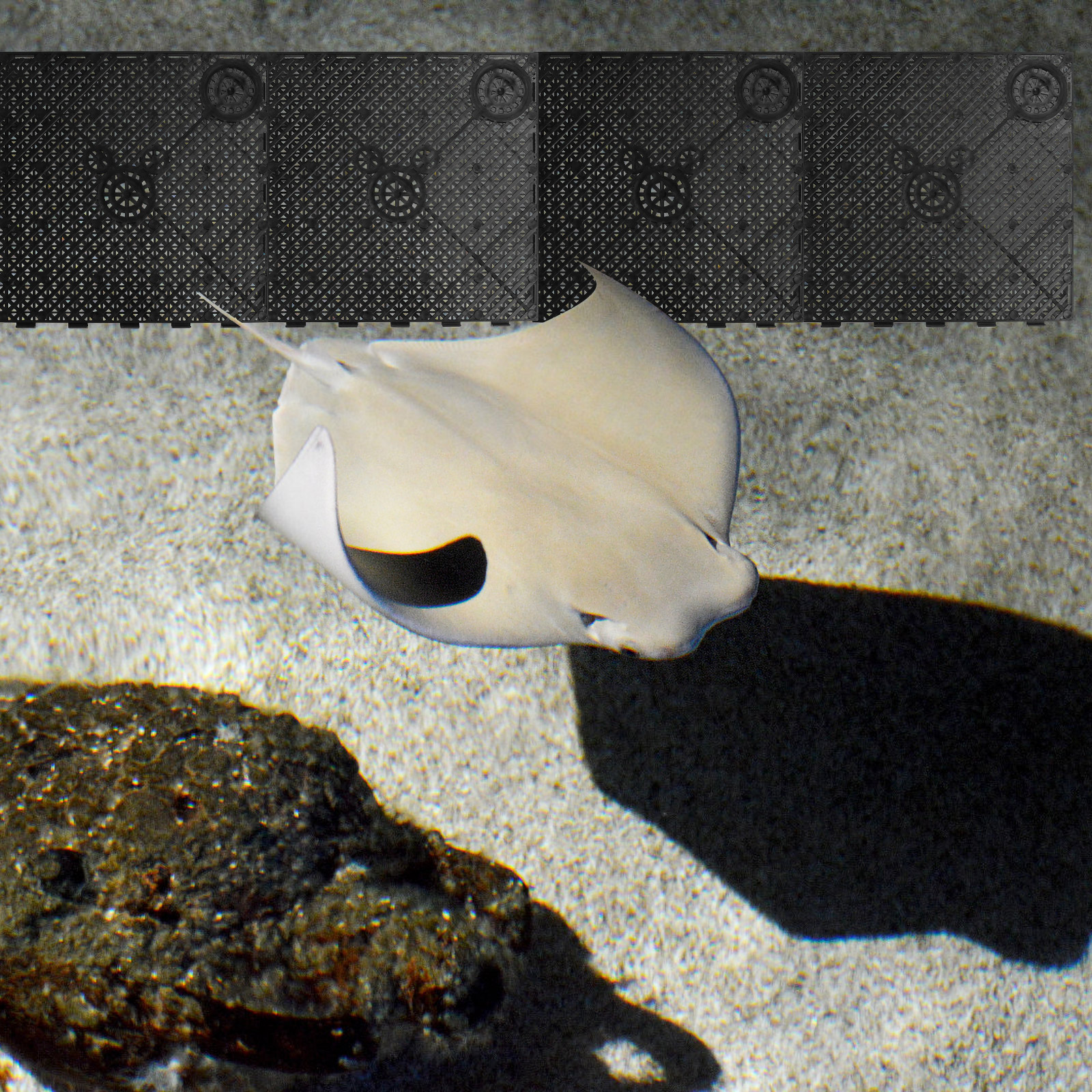 5Pcs Fish Tank Filtering Plates Sand Divider Board Grid Plates Aquarium Supplies