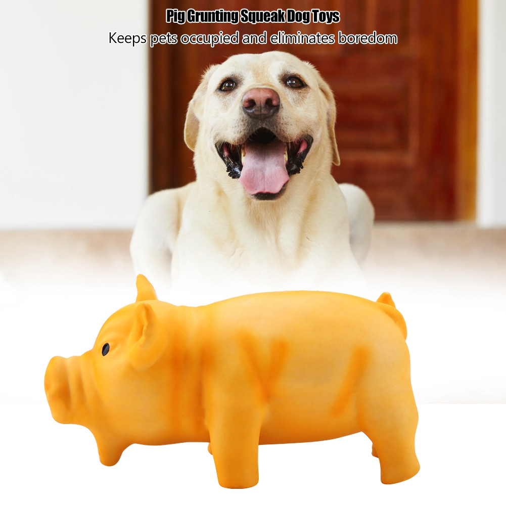 Pet Toys for Small Dogs Rubber Resistance To Bite Dog Toy Teeth Cleaning Chew Training Toys Pet Supplies