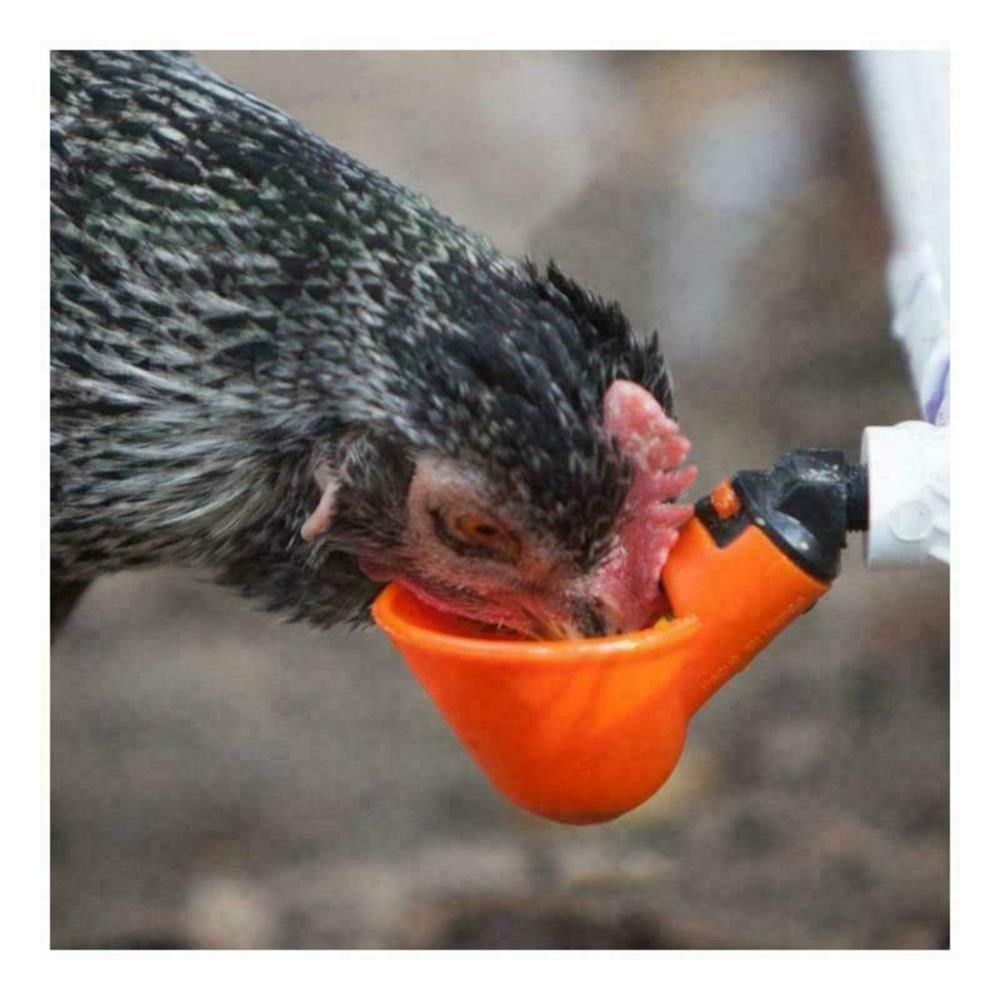 10/20 Pcs Poultry Water Drinking Cups Chicken Hen Plastic Automatic Drinker Farm Bird Chicken Coop Feed Fowl Bowl