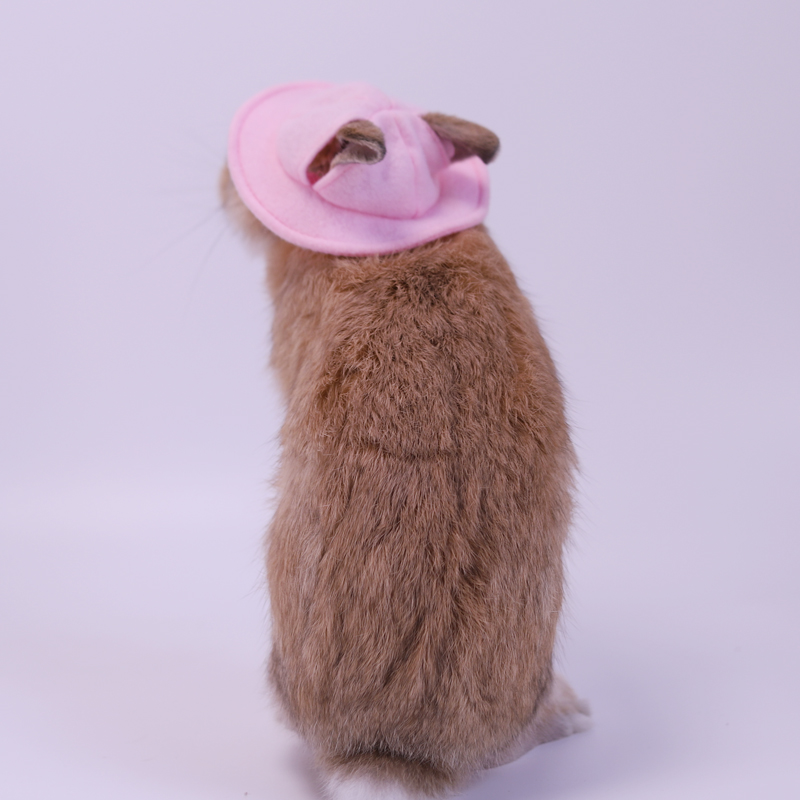 Small Animals Wearing Cap Hat Pet Clothing Accessories for Guinea Pig Rabbit Squirrel Hamster Rat Mouse