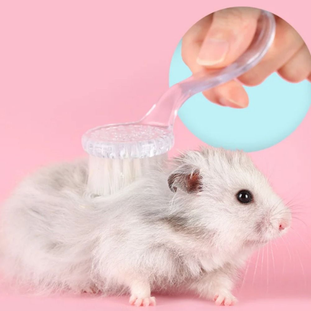 Animal Grooming Brush Soft Cleaning Tools Guinea Pig for Hedgehog Massage Small Bathing Hamster 1pc Combs