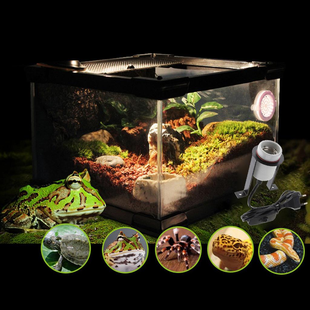 Reptile Turtle Amphibian Lamp Holder, Bearded Dragon Heat Bulb Socket