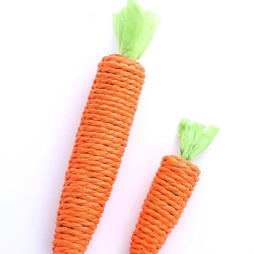 Carrot Cat Toy Interactive Cat Toys for Indoor Cats