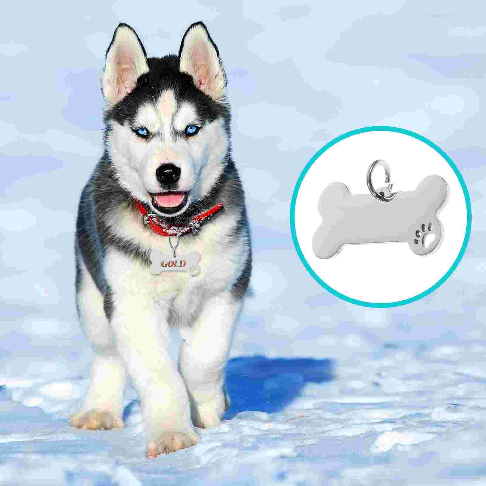 4 Pcs Pet ID Custom Dog Tag Tags Puppy Name Blank Metal Engraved for Pets Supplies Stainless Steel Personalized Collar