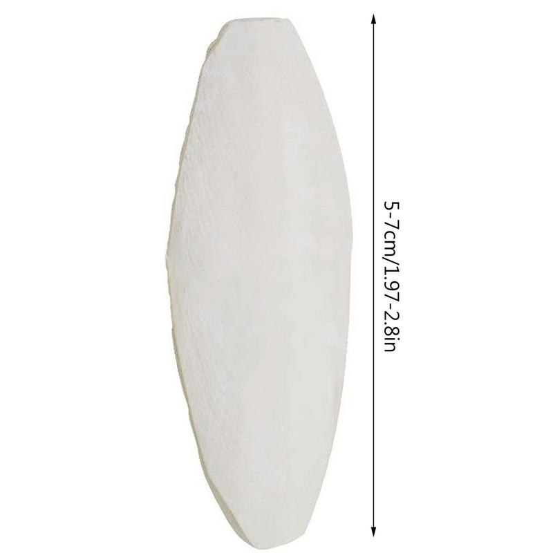 Bird Cuttlebone Parakeet 10pcs Cuttlefish Bone Chew Toy For Parakeets And Other Birds Natural Cuddlefish Bones Bird Bites