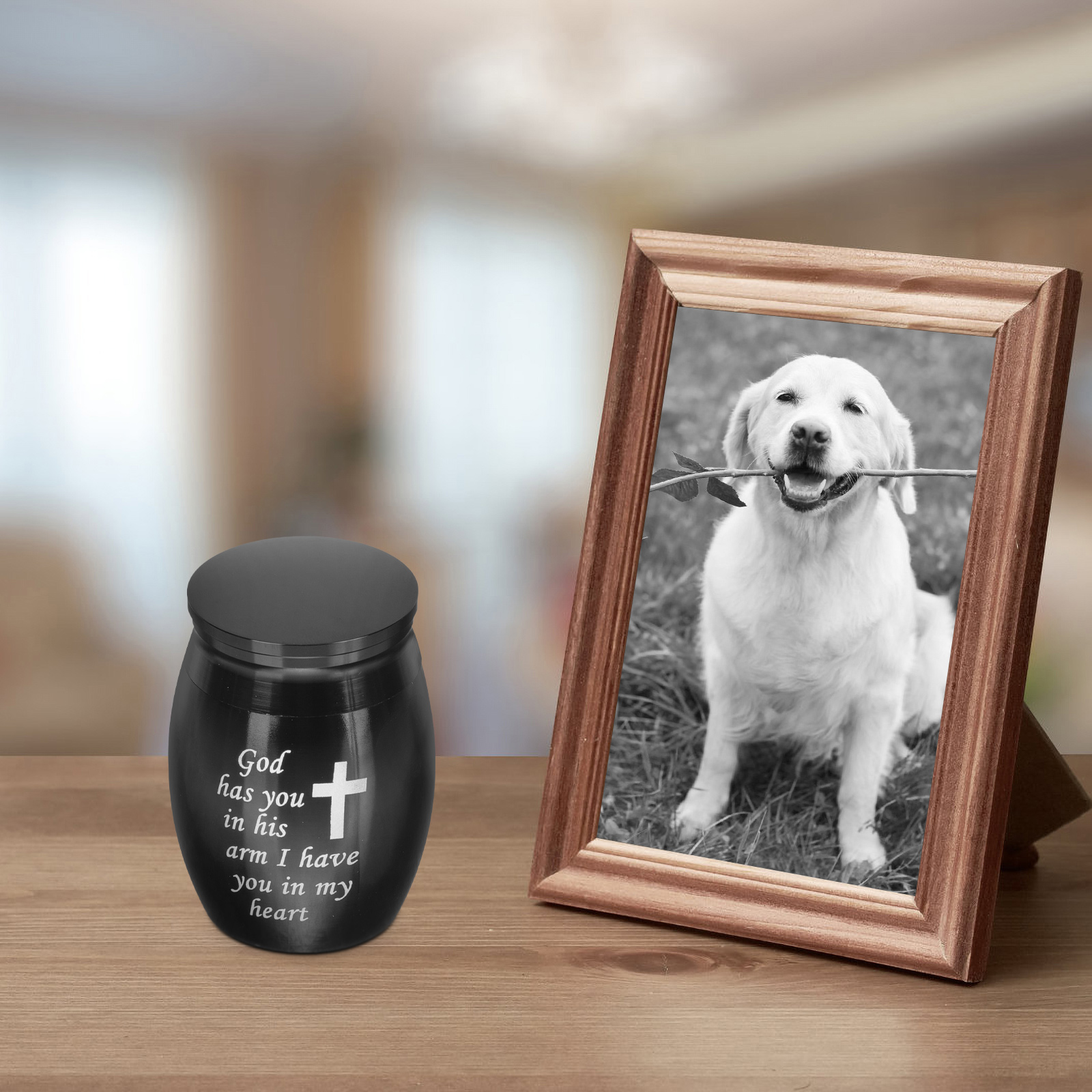 Urn Cat Sympathy Card Dog Memorial Locket Decor Pet Urns for Ashes Adult Keepsake Human Cremation Burial Container