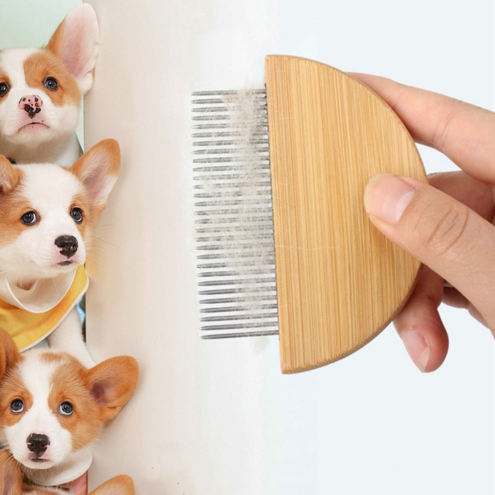 3 Styles Stainless Steel Dog Grooming Comb Removal Mucus Flea And Hair Small Lice Brush Dog Cat Kitten Hair Trimmer Pet Supplies
