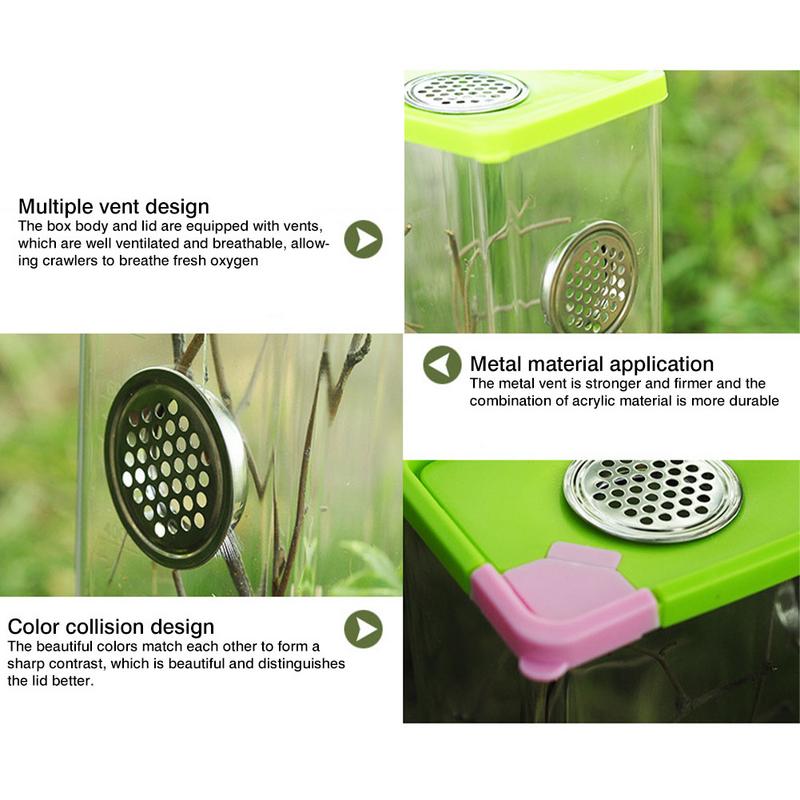 Reptile Breeding Box Clear Acrylic Terrarium Feeding Box With Stainless Steel Ventilation Nets For Spider Scorpion Snail Reptile