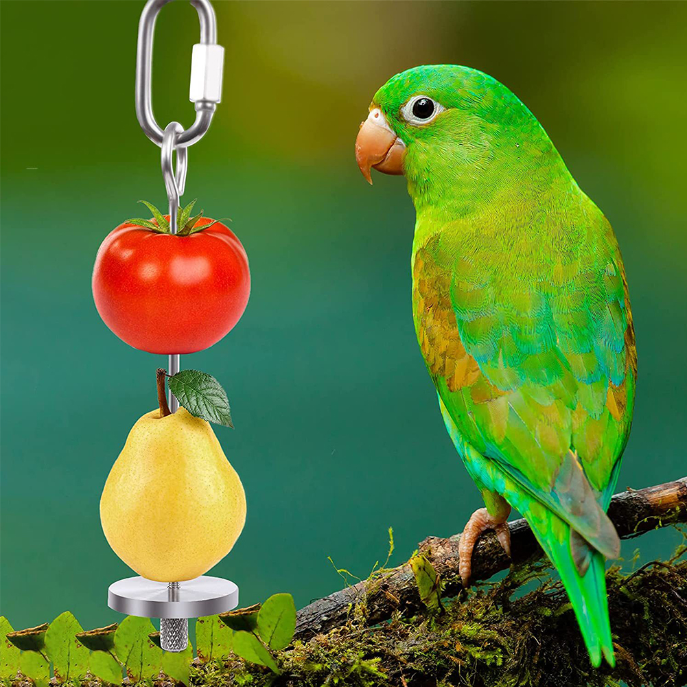 5 Pcs Bird Food Holder Stainless Steel Bird Parrot Skewer Hanging Vegetable Fruit Holder Foraging Feeder Feeding Dish Cup