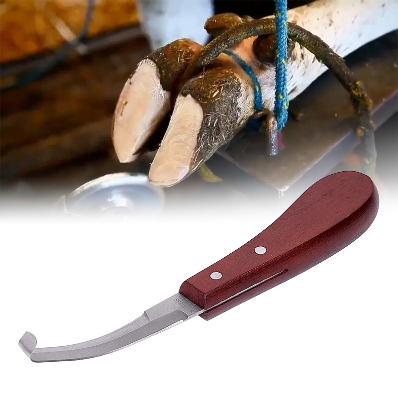 1Pc Horse Hoof Knife Stainless Steel Double Edge Blade Hoof Trimming Knives With Wooden Handle Cattle Sheep Hoof Trimming Tool
