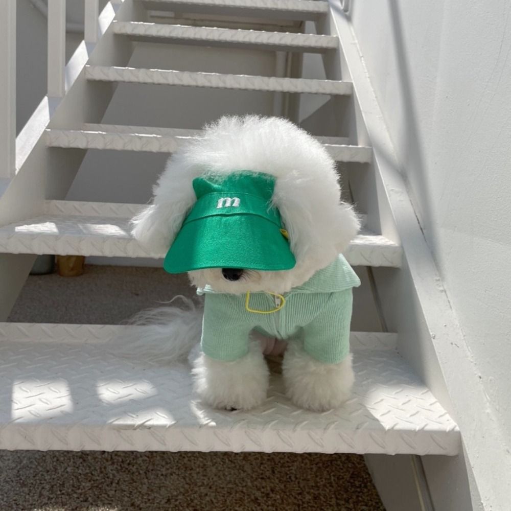 Fashion Cute Dog Hat Outdoor Multicolour Puppy Baseball Hat Adjustable Portable Dog Sunscreen Cap Dog