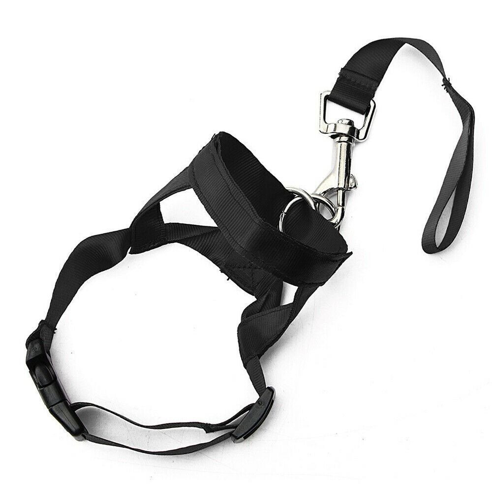 Harness Adjustable Muzzle Dog Halter Leader Belt Dog Collar Head Collar No Pull Bite Straps Training Leash Leader