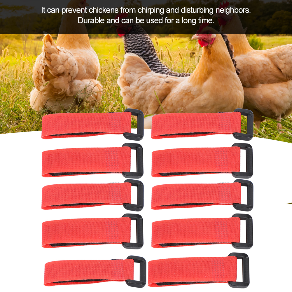 5 Bag AntiHook Rooster Nylon Collar Noise Neck Strap Necklace Pet Chicken Supply