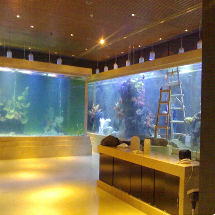 extra large transparent cast acrylic embedment encapsulate background tank wall aquarium