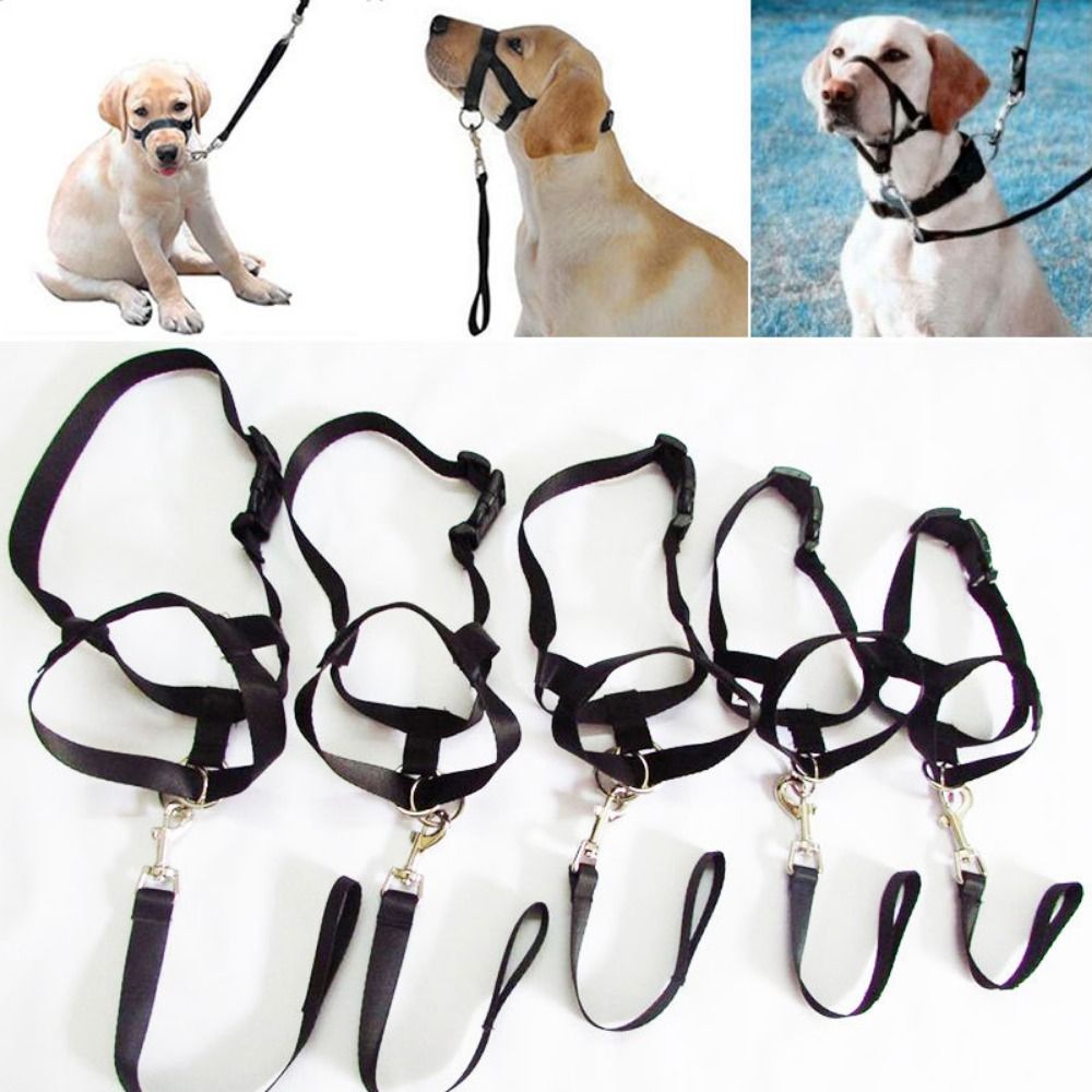 Harness Adjustable Muzzle Dog Halter Leader Belt Dog Collar Head Collar No Pull Bite Straps Training Leash Leader