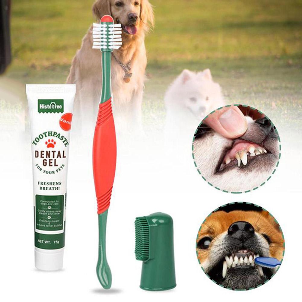 Pet Healthy Edible Toothpaste With Toothbrush Dog Cats Care Toothpaste Flavor Vanilla Mouth Teeth Cleaning Beef Flavor Dog J5M7