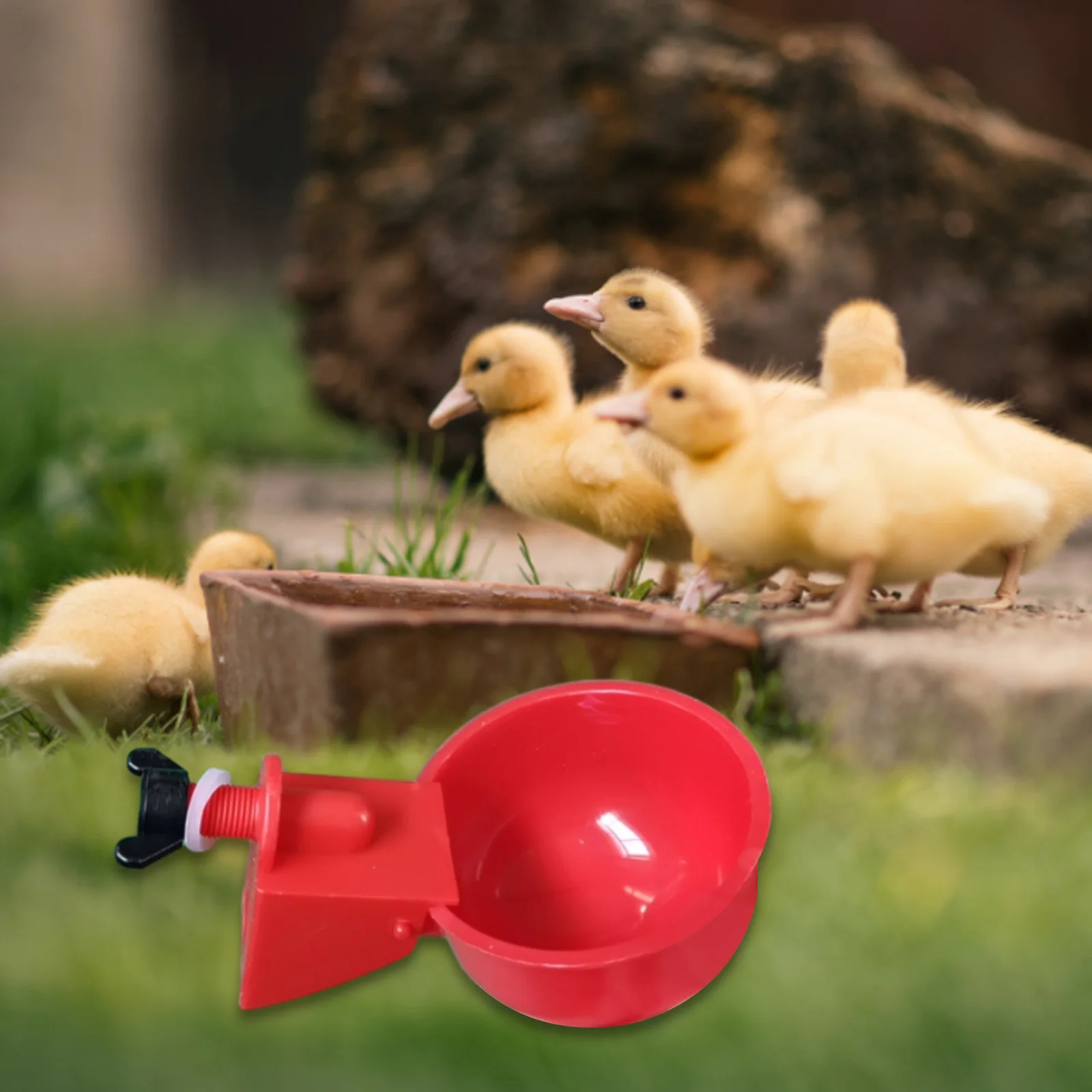 24-6Pcs Chicken Drinking Cup Automatic Duck Drinker Plastic Poultry Farm Water Drinking Cups Chicken Feeder Watering Bowl