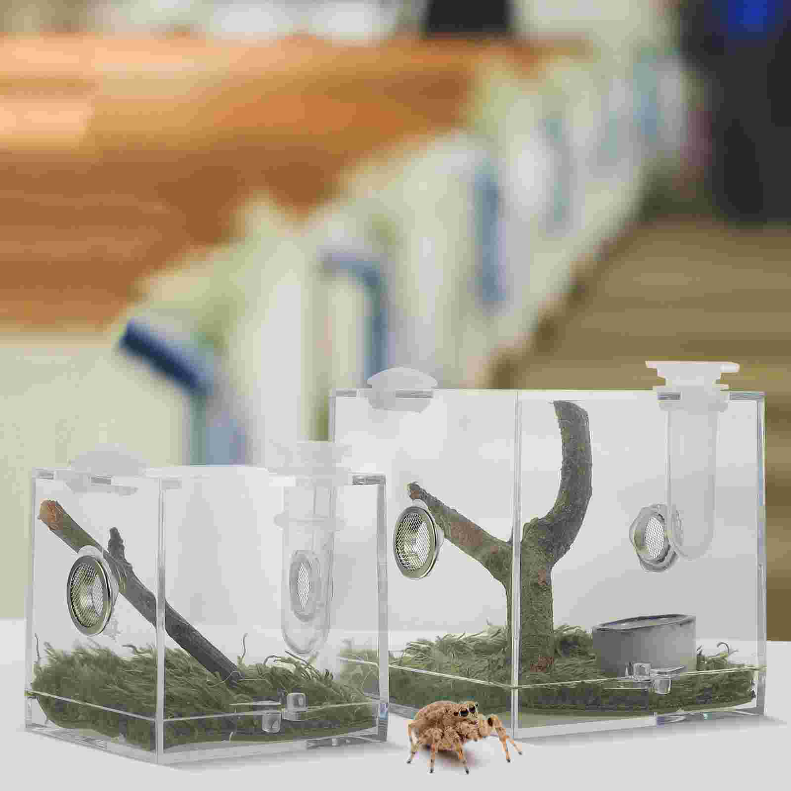 2 Pcs Jumping Spider Breeding Box Acrylic Reptile Terrarium Acrylic Snail Container Humidifier Case Insect Habitat Reptiles