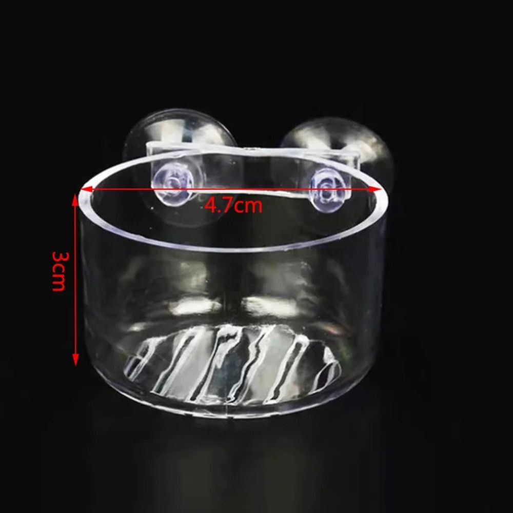 Accessories Tapered Hopper Basket Automatic Feeder Plastic With Suction Cup Aquarium Red Worm Feeding Red Worm Feeder