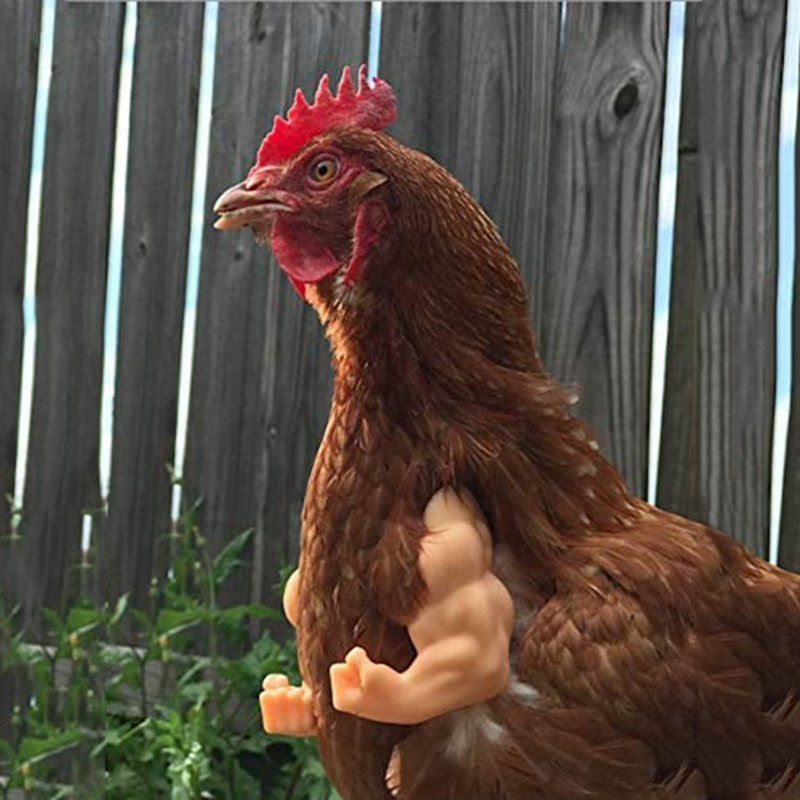 Chicken Arm Decoration Chicken Forelimb Decor Dinosaur Spoof Pet Props Chicken Arm Hulk Arms Chicken Themed Party Funny Decor
