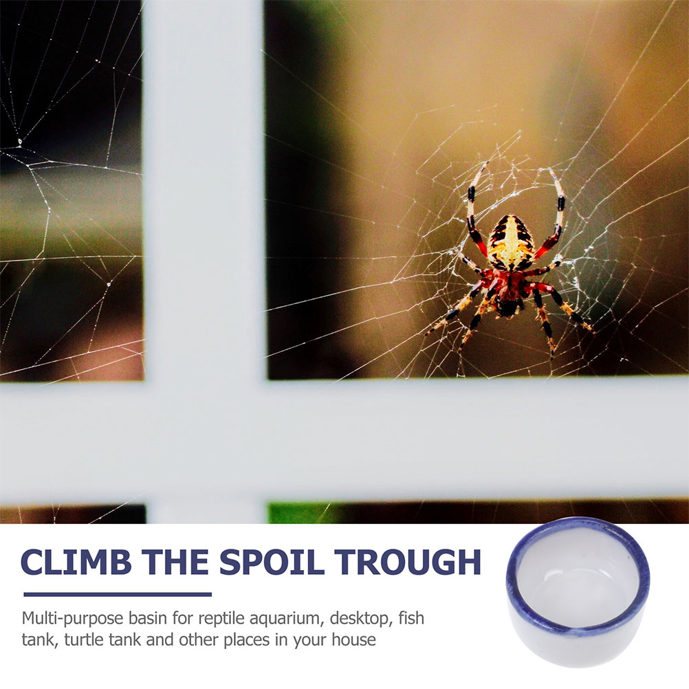 24 Pcs Reptile Water Dish Terrarium Bowl Mini Food Crawler Feeding Sink Lizard Lizard Lizard Pet Water Bowl Drinking Container