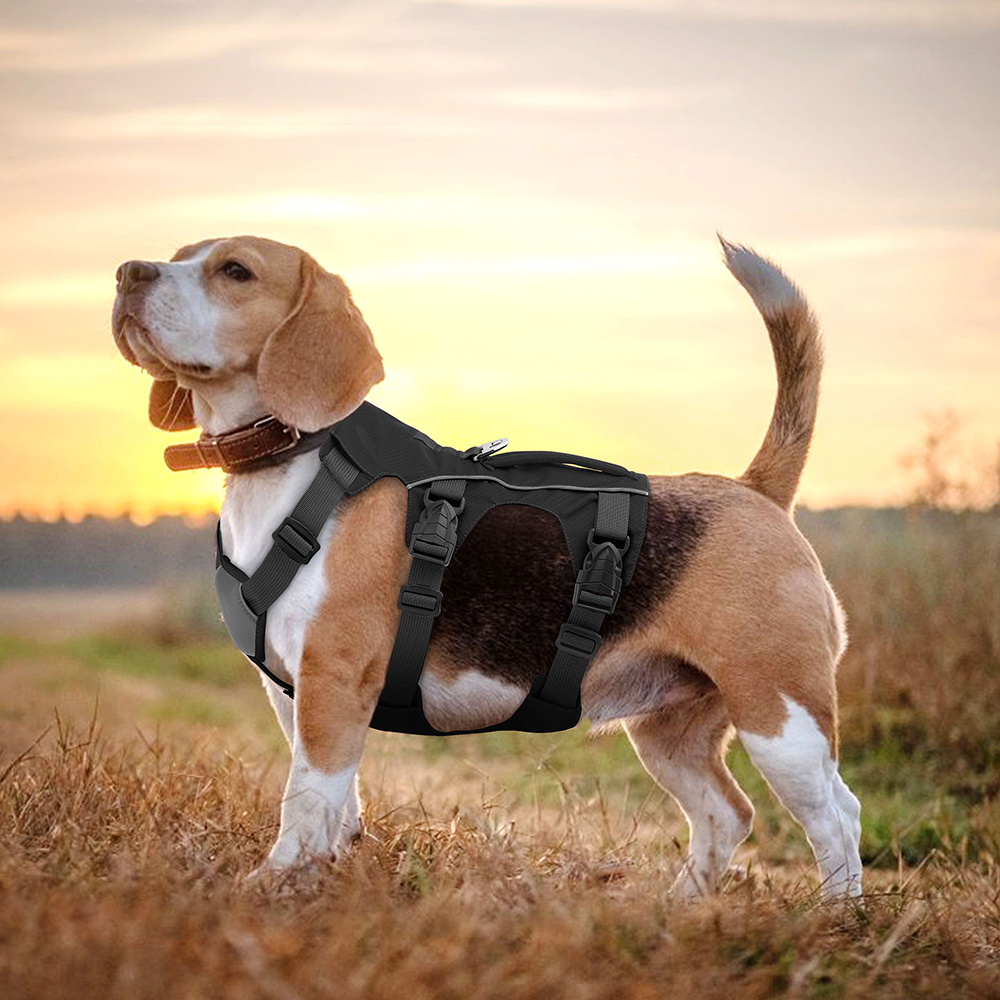No Pull Dog Harness Reflective Waterproof Pet Harness Vest With Handle for Small Medium Dogs Walking Training Chest Straps
