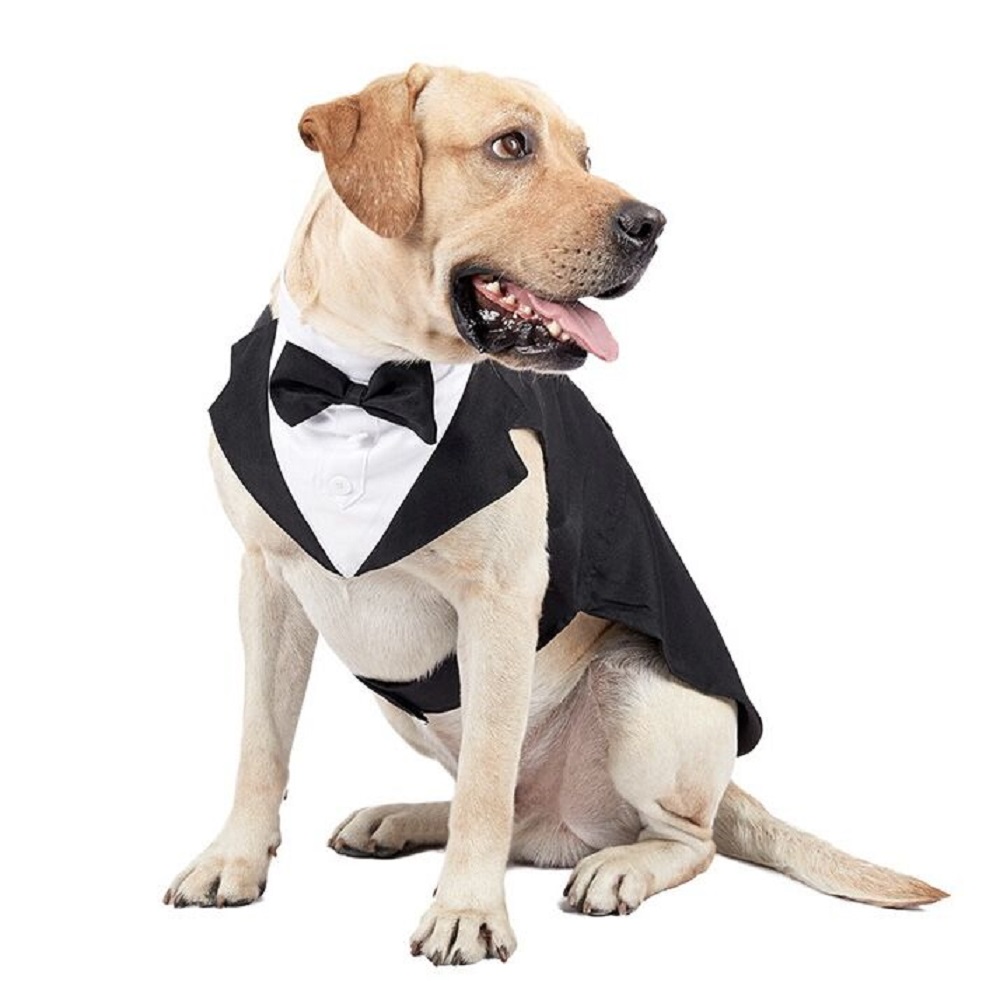 Dog's Formal Wedding Black Shirt Tailcoats for Medium Large Dogs Fashion Suit for Party Cosplay Golden Retriever Bulldog Samoyed