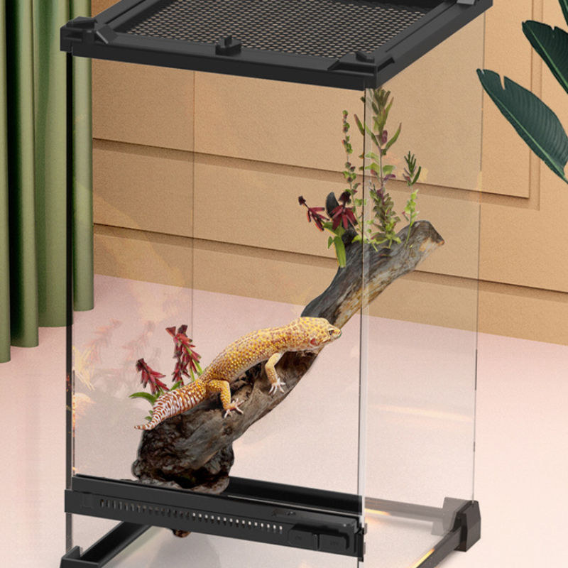 Tempered Glass Rainforest Breeding Box Amphibious Climbing Pet Lizard Turtle Ecological Landscape Breeding Box Ecological Tank