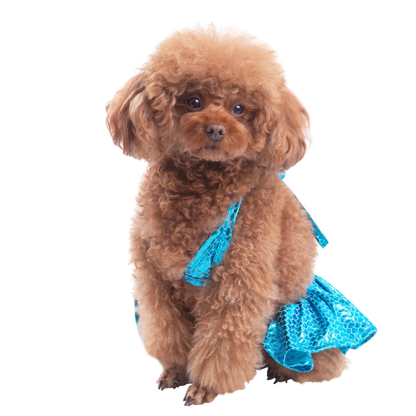 2 Pack Dog Bikini Set,Beach Dog Swimsuit Mermaid Dog Bathing Suit Summer Costume with Shiny Scale Blue & Pink  for Cats Girl Pho