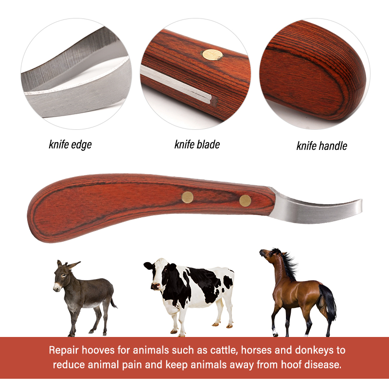 Hoof Loop Knife Farrier Tools Double-Edged Hoof Trimming Horseshoe Repairing Tools Oval Hoof Scissors Horse Grooming Hot Sale