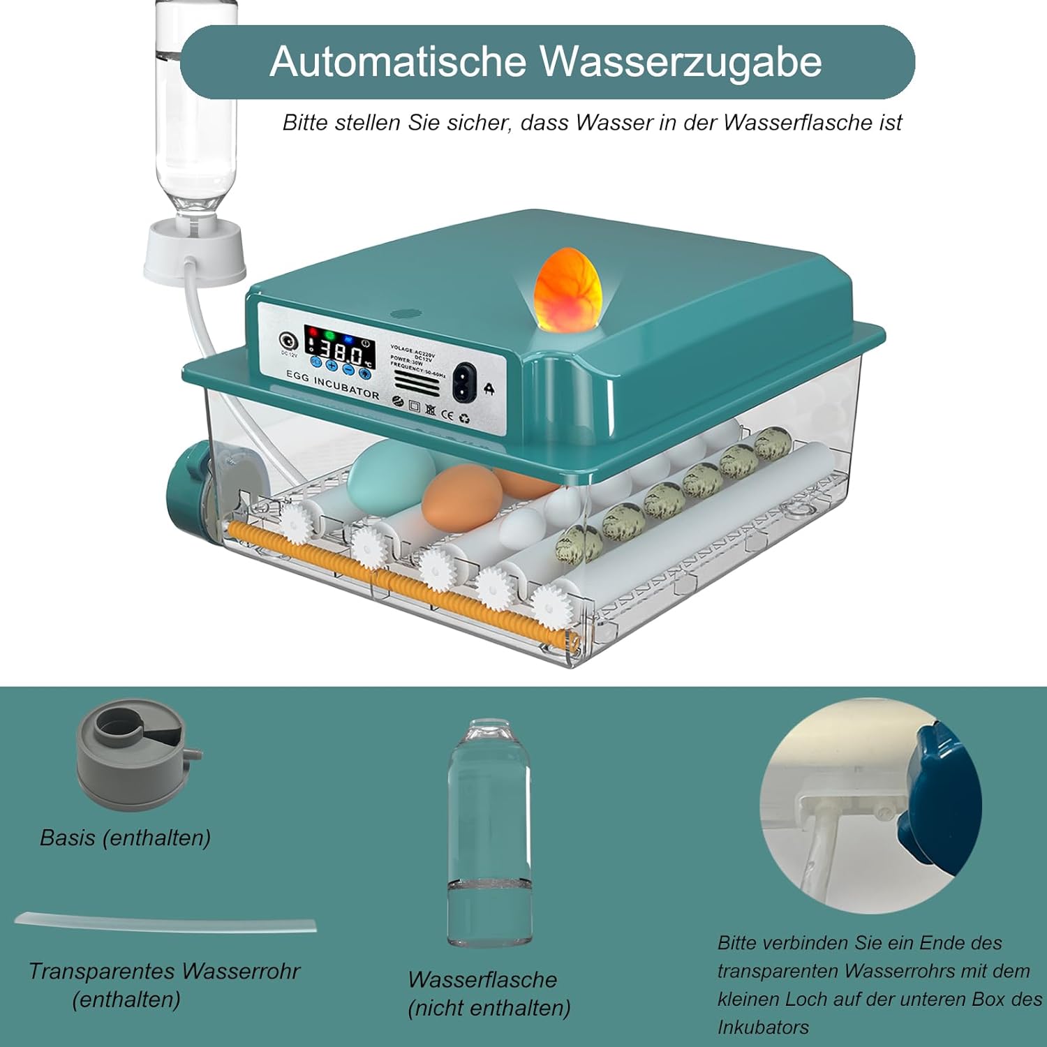 EU Plug Eggs Incubator 16/36 Eggs Digita Mini Automatie Incubatores for Hatching Goose Quail Chicken Egg Hatching