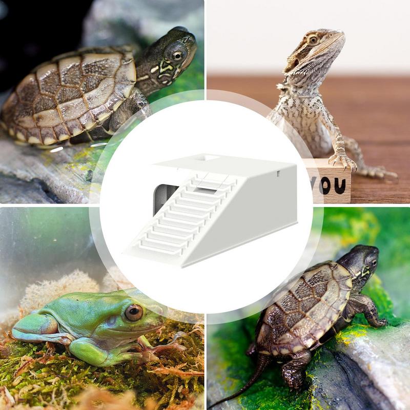 Tortoise Climbing Stage Shelf Turtle Tank Decor Climbing Platform with Filter Water Design Shelter House Tortoise Terrace