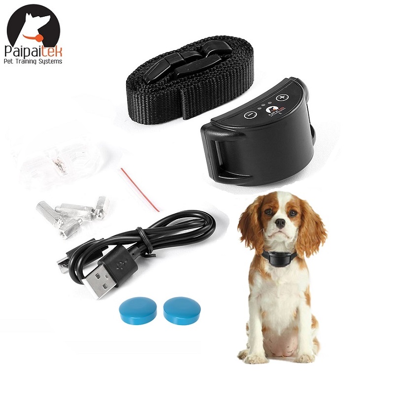 Paipaitek Dog Anti-barking Collar IP65 Waterproof Adjustable Pet Dog Training Collar Dog Trainer Device Pet Supplies In stock