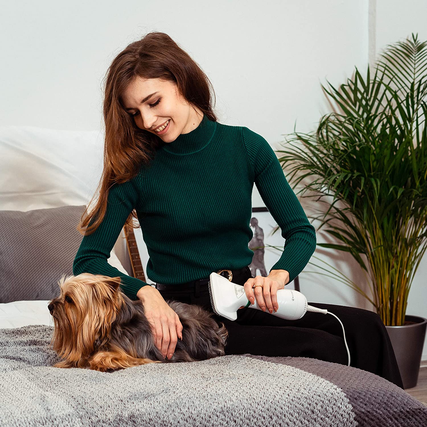 2023 Hot Selling 2 in 1 Pet Grooming Dryer Brush for Dog and Cat Adjustable Temperature Dog Hair Dryer