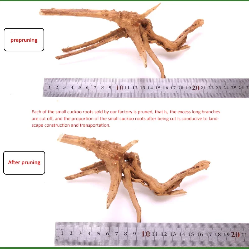 Aquarium Plants Natural Tree Driftwood Branches Wooden Fish Tank Decorations Fish Landscaping Tree Roots Ornaments Supplies