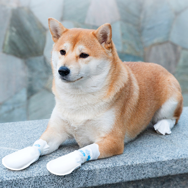 20pcs Disposable Dog Shoe Covers Waterproof Anti-Slip Walking Socks Non-Woven Fabric Pet Foot Covers Dirt-Resistant Dog Shoes