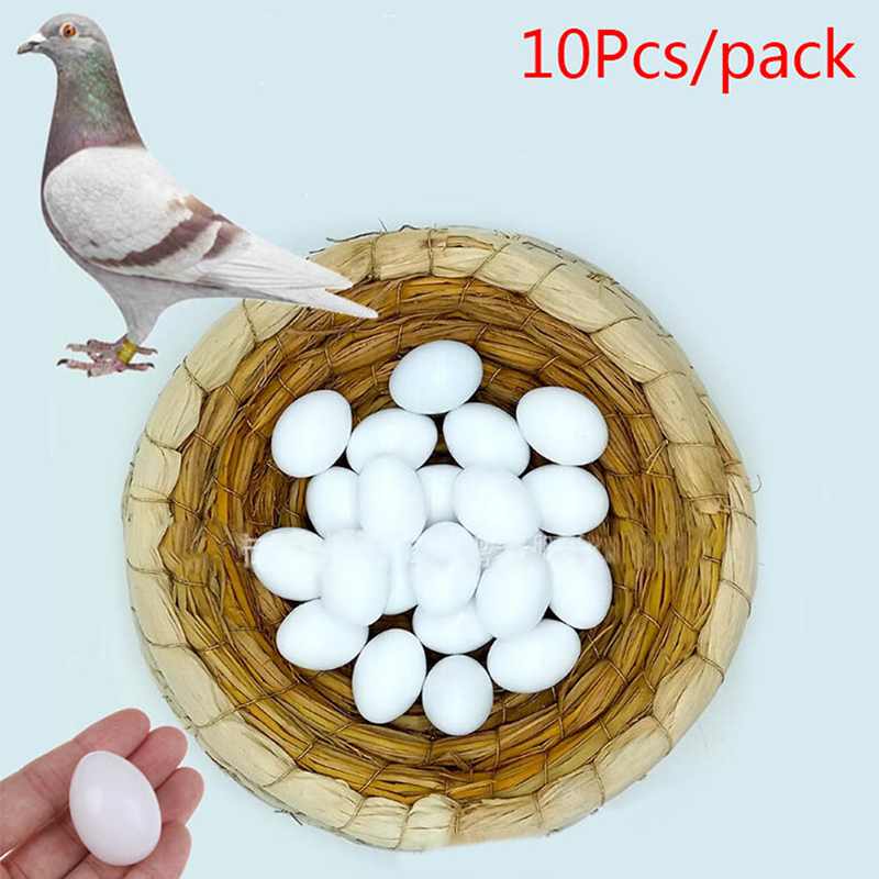 10PCS/lot Fake Eggs Plastic Pigeon Egg Solid Hatching Supplies