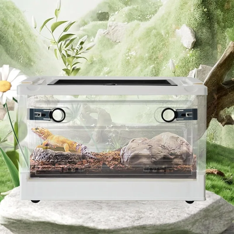 Plastic Reptile Feeding Box Portable Transport Container Reptiles Breeding Enclosure Cages Transparent Amphibians Habitat Box
