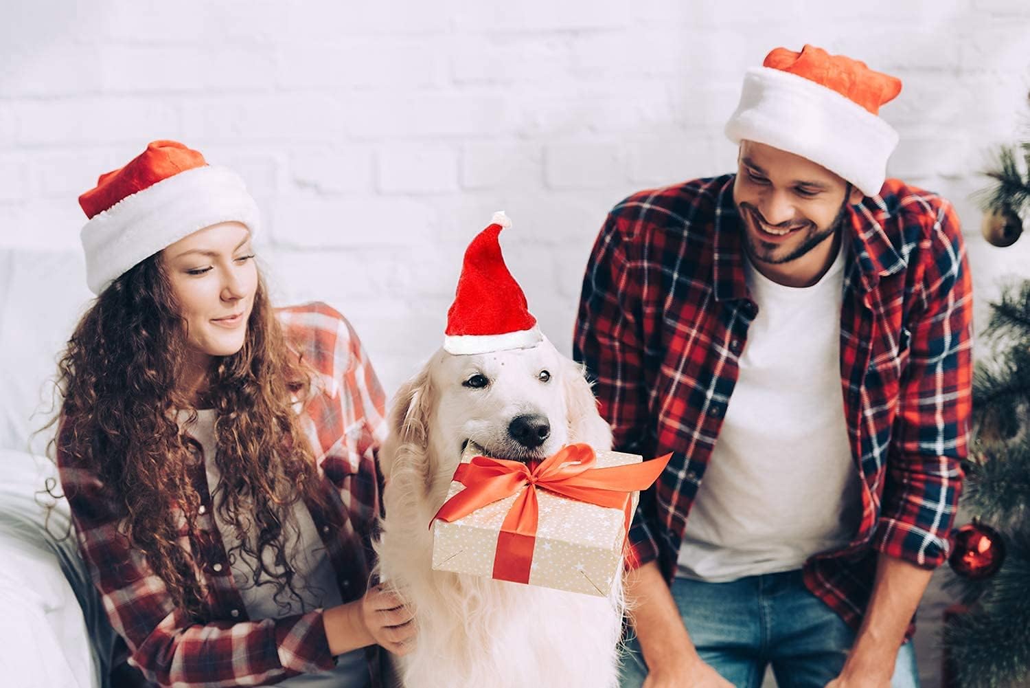 Beiabang Dog Cat Costumes Santa Hat Pet Christmas Photo Props for Puppy Kitten Small Cats Dogs