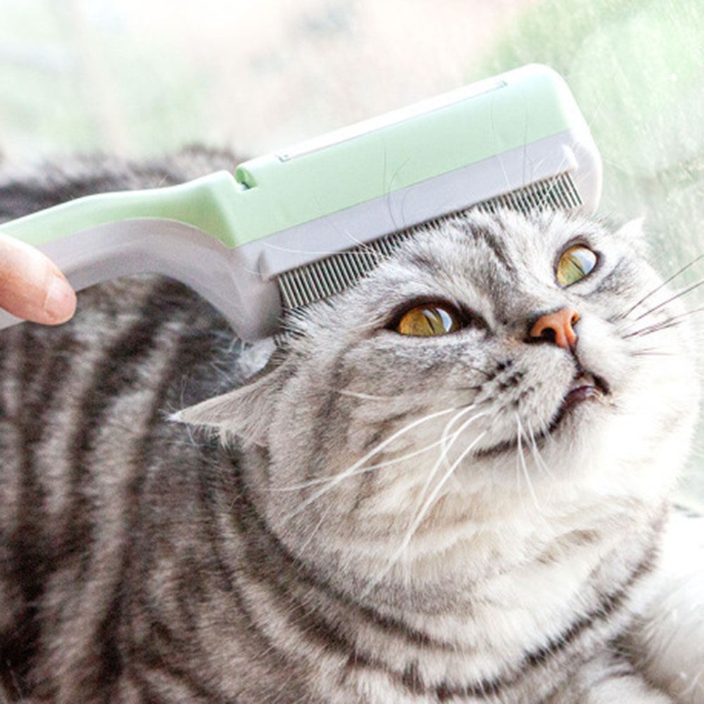 Multipurpose Pet Shedding Comb Dog Self-cleaning Comb With Hair Storage Box For Pet Rabbits