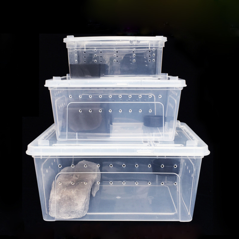 1pc Plastic Reptile Living Box Terrarium Transparent Reptiles Insect Container Transport Amphibians Breeding Food Feeding Box