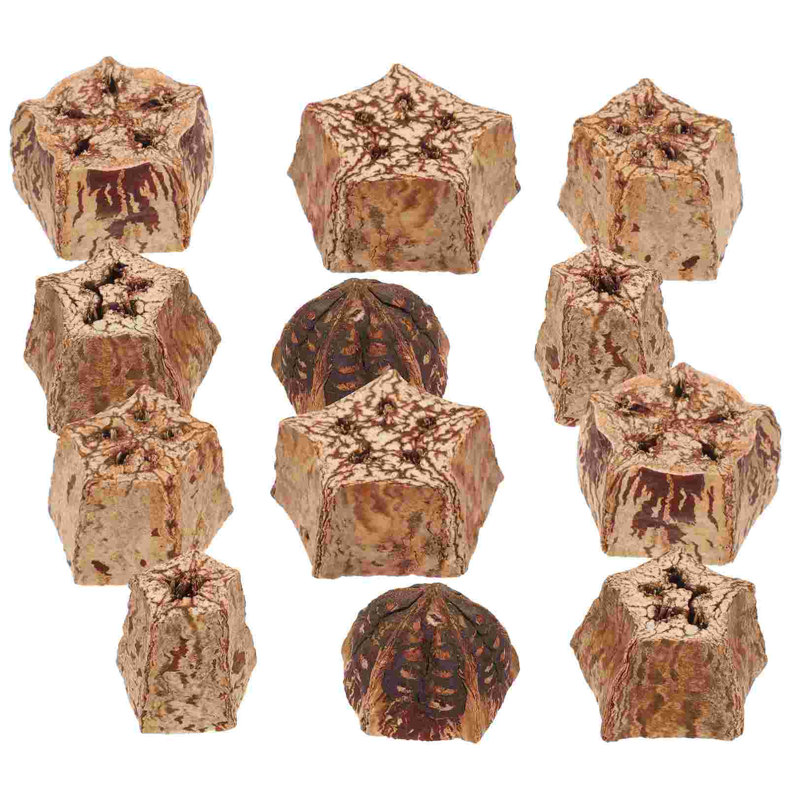 12 Pcs Bite Parrot Chewing Fruit Parakeet Cage Accessories Bird Dried Fruits Toys for Parrots