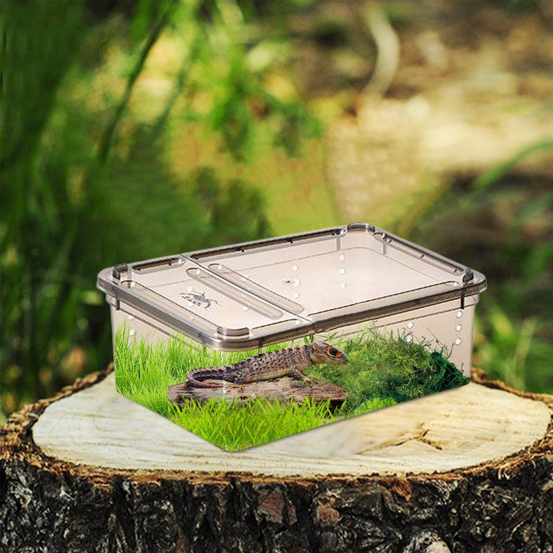 19cmx12.5cmx7.5cm Terrarium For Reptiles Spider Transparent Plastic Feeding Box Insect Food Feeding Container Terrarium Bowls