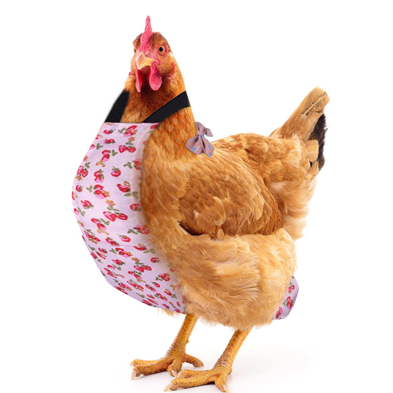 Pet Diapers Chicken Print Pattern Bow Clothes Pet Supplies Diapers Pet Accessories Bedding & Litter Accesorios Mascotas 애견용품