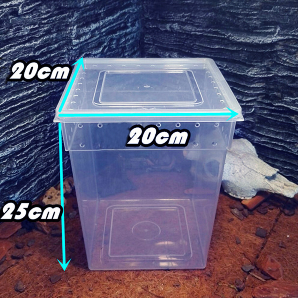 Reptile Terrarium Aquarium Breeding Tank,Tarantula Enclosure Feeding Box Insect Habitat for Snake Lizard Hermit Crab Insect