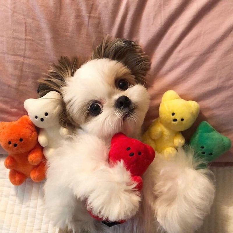 Others Dog Toys Chews Cute Small Dog Squeaky Toys for Small Dogs Puppy Bear Shaped Squeak Toy for Cat Dogs Pet Supplies Pomeranian Teddy Shih Tzu Pug 