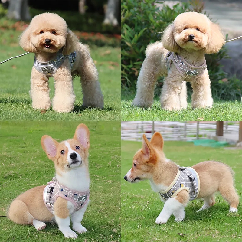 Nylon Puppy Vest with Leash Breathable Reflective Pet Dogs Cats Harness for Chihuahua French Bulldog Collar Dog Supplies