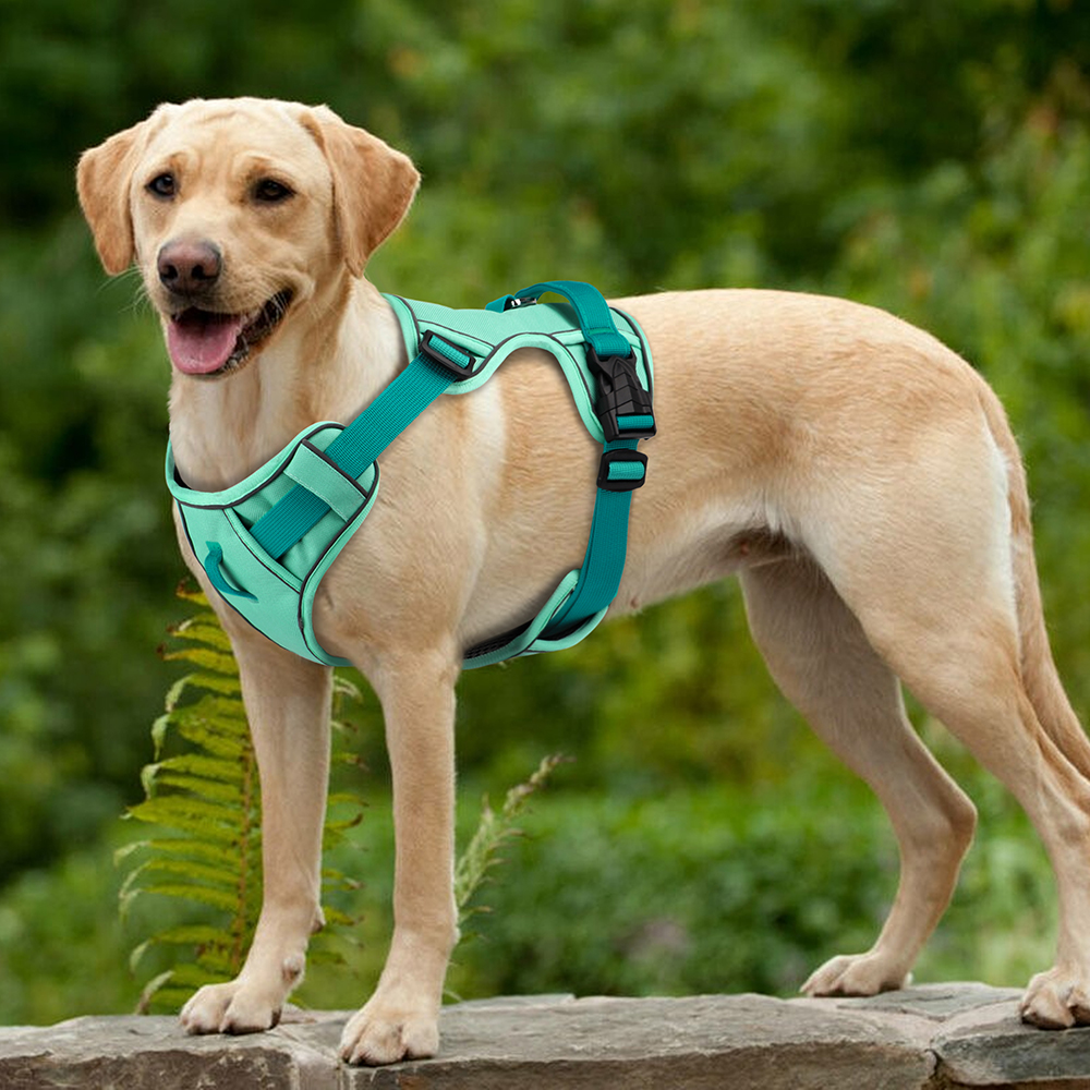 Mesh Breathable Dog Harness Nylon Reflective Dog Harnesses Vest Durable Pet Training Vest Adjustable for Small Medium Large Dogs