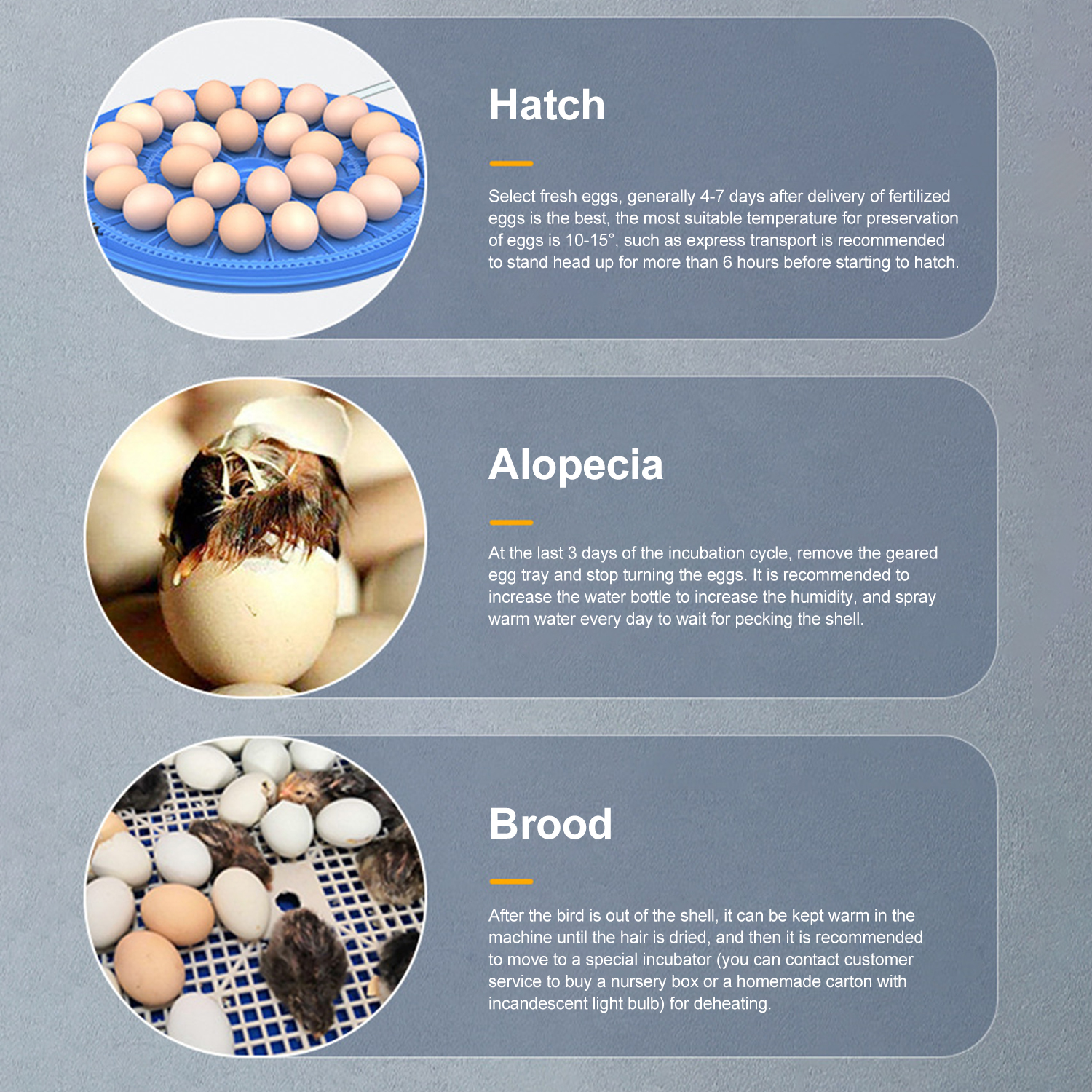52/26/8 Flying Saucer Egg Incubator Fully Automatic Brooder Egg Incubator With Water Ion Water Replenishment Temperature Contr