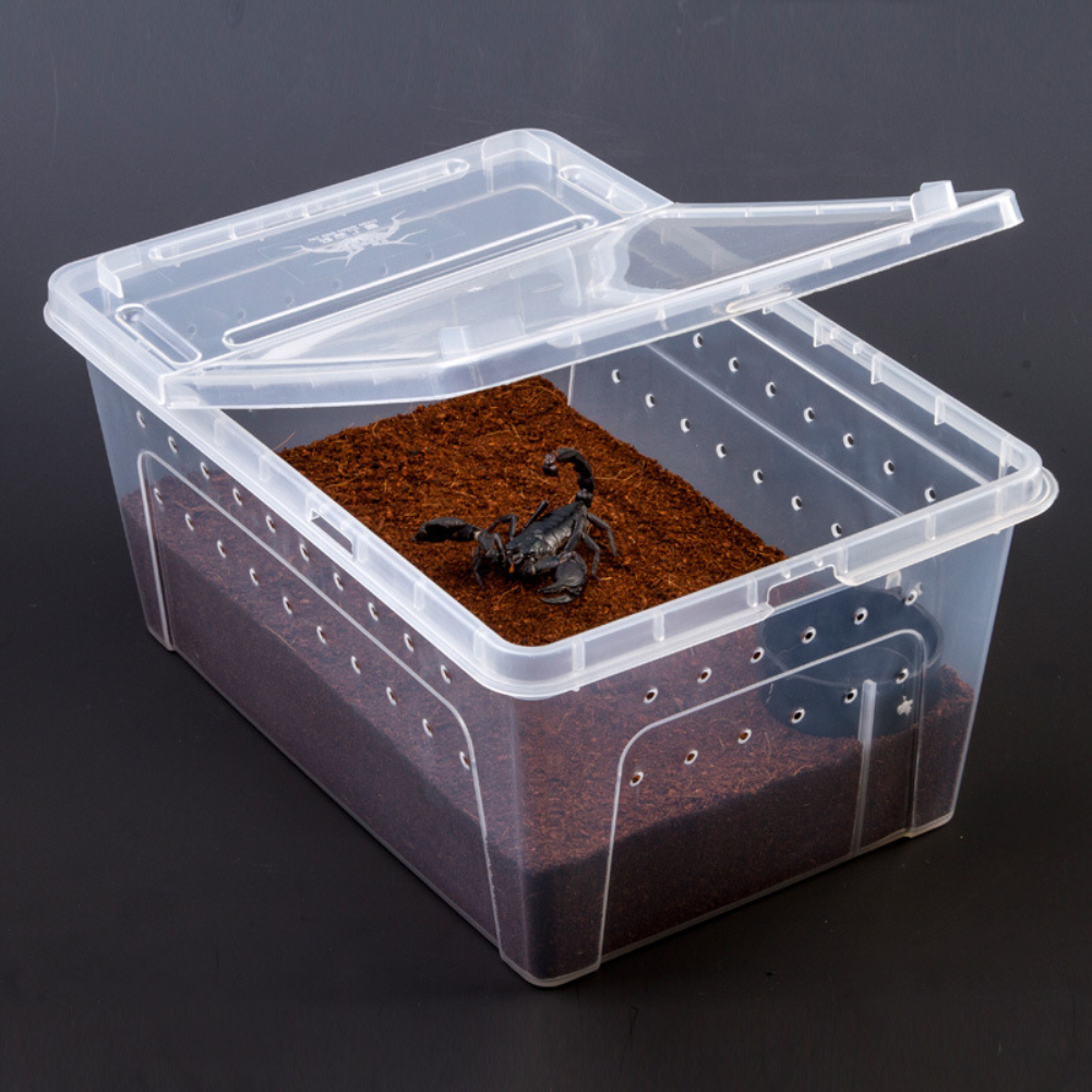 1pc Plastic Reptile Living Box Terrarium Transparent Reptiles Insect Container Transport Amphibians Breeding Food Feeding Box